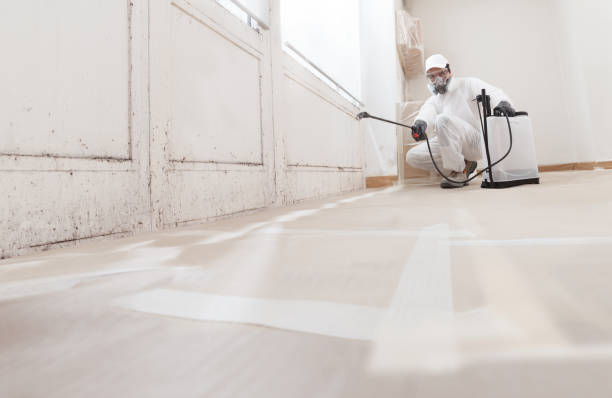 24/7 Emergency Mold Testing experts in Jacksonville, FL