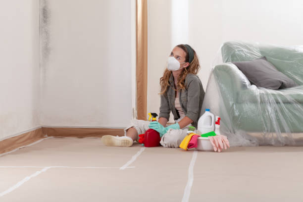 Reliable Mold Testing contractor in Jacksonville, FL by WQB Mold Removal